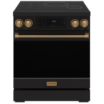 Thor Kitchen RSI30B-BRZ Cuisinière à induction