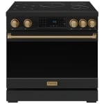 Thor Kitchen RSI36B-BRZ Cuisinière à induction
