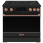 Thor Kitchen RSI36B-RSG Cuisinière à induction