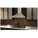 Broan Range Hood