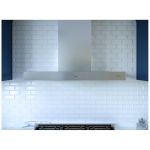 Zephyr Range Hood