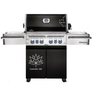 Vidéos Napoleon Grills PRO500RSIBNK2C150