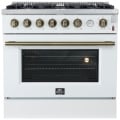 FFSGS6277-36WHT