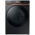 DVE50BG8300VAC