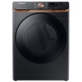 DVE50BG8301VAC