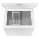 Amana 7 cu. ft. Freezer (AQC0701DRW)