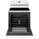 Amana 30 inch Range (YAER6603SFW)