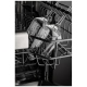 Bertazzoni Dishwasher (DW18S2IPV)