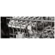 Bertazzoni Panel Ready Dishwasher (DW24T3IPV)