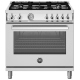 Bertazzoni PRO365DFMXV Dual Fuel Range