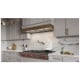 Hotte de ventilation encastré Inox Best (HBN536212SS)