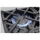 BlueStar 36 inch Range (RCS36SBV2C)