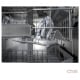 Bosch 300 Series Stainless Steel Dishwasher (SHE53B75UC)