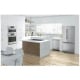 Bosch B21CT80SNS