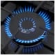 Surface de cuisson au gaz Bosch 800 Séries NGM8049UC 30 pouce