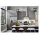 Broan BWP1244SS Range Hood