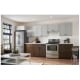 Broan Cabinet Insert (BBN1243SS)