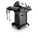 Broil King Black BBQ Grill (931254LP)
