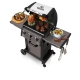 Broil King BBQ Grill (931254LP)