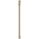 Accessoire petit electromenager Cafe CXQW1H1PPBZ