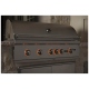 Barbecue Coyote (C2SL42LP)