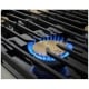 Dacor 36 inch Dual Fuel Range (DOP36C86DLS)