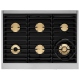 Dacor DOP36M86DLS 36 inch Dual Fuel Range