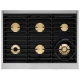 Dacor DOP36M86DLS