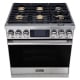 Dacor 36 inch Range (DOP36M86DLS)