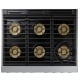 Dacor 36 inch Stainless Steel Dual Fuel Range (DOP36T86DLS)