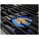 Dacor DOP48C86DLM Dual Fuel Range