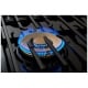 Dacor 48 inch Graphite Steel Dual Fuel Range (DOP48M86DPM)