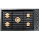 Dacor DTG36M955FM