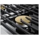 Dacor DTT48T960GS
