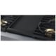 Dacor DTT48T963GM