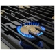Dacor 36 inch Range (DOP36C86DLM)