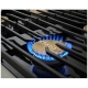 Dacor 48 inch Stainless Steel Dual Fuel Range (DOP48C86DLS)