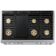 Dacor DOP48T963DS Dual Fuel Range