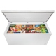 Danby 17.7 cu. ft. Chest Freezer (DCFM177C1WDB)