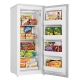 Danby 10.1 cu. ft. Freezer (DUFM101A1WDD1)