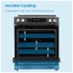 Danby Black Stainless Steel Induction Range (DIRC300BSSC)