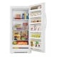 Danby Upright Freezer (DUFM166A1WDB)
