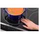 Electrolux 30 inch Induction Cooktop (E30IC80ISS)