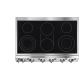 Electrolux Icon E36EC75HSS Electric Cooktop