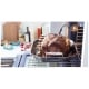 Electrolux 30 inch Stainless Steel Double Wall Oven (EW30EW6CGS)