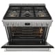Electrolux ECFD3668AS Dual Fuel Range