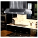 Faber Stainless Steel Range Hood (FORTIS42SS)