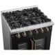 Forno 30 inch Range (FFSGS6444-30BLK)