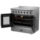 Forno FFSEL6917-36