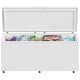 Frigidaire 25 cu. ft. Convertible Fridge/Freezer White Chest Freezer (FFCL2562AW)